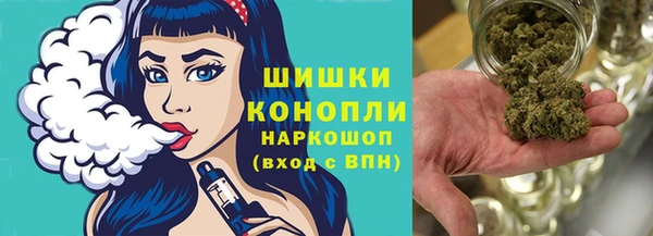 прущие грибы Абдулино