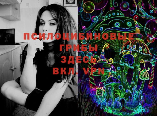 не бодяженный Абаза