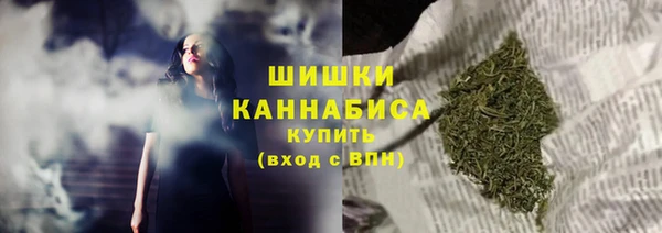 прущие грибы Абдулино