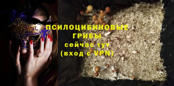 прущие грибы Абдулино