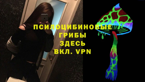 прущие грибы Абдулино